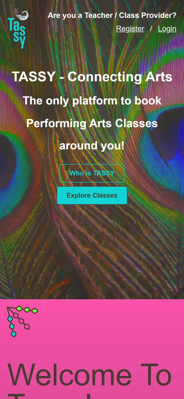 The Tassy website on a phone